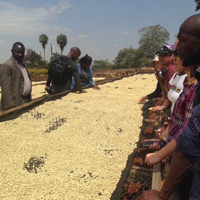 time for guests to learn about coffee farming